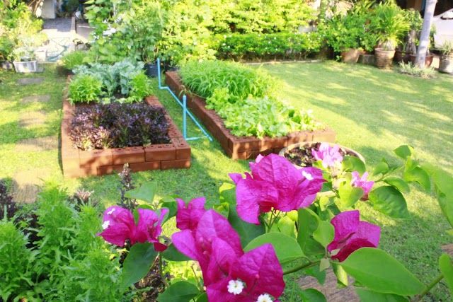 Chiangmai-Xiangmi Cookery School